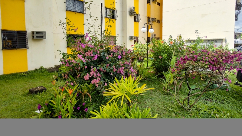 Pernambuco - Camaragibe, Nazaré , Apartamento, (Comprar)